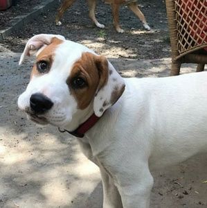 Meet your Posher, Aubrey